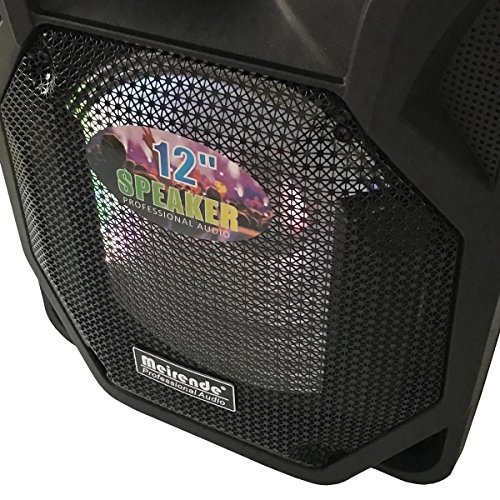 Tengchang Pro 12" Series Speaker Karaoke Machine DJ PA System Bluetooth Dual with Wireless Mics