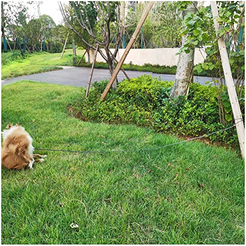 Maypaw 100Ft Reflective Dog Tie Out Rope, 1/4" Long Tether For Yard, Outdoor 4M, 6M, 8M, 10M, 12M, 15M, 18M, 23M, 30M Medium Dogs Strong Puppy Training Lead Check Cord #TOP5
