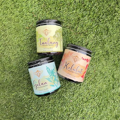 Image of Golden Soothe by Nirwana - Pure Wild Bee Gelam Honey from Malaysian Rainforest, 325 g Glass Jar