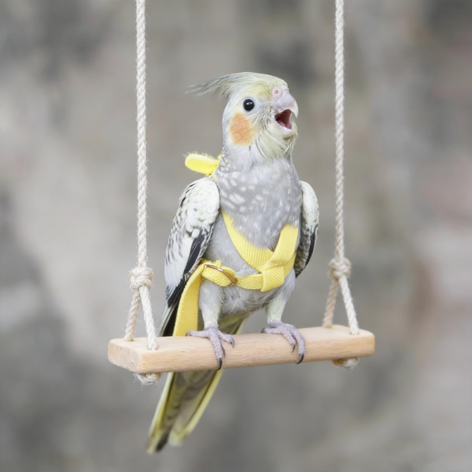 Arnés para Loros Correa Ajustable para pájaros de compañía Correa elástica antimordeduras para Loros cacatúas guacamayos — view 6