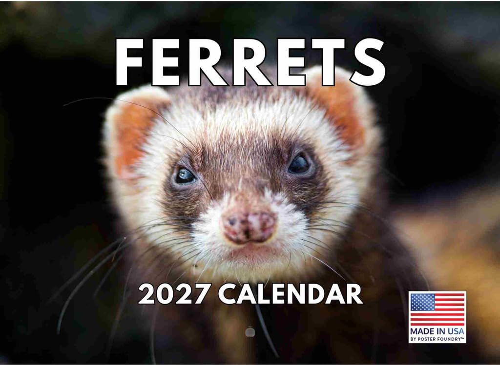 Ferret Pet 2025 Calendar Wall Monthly — image 1