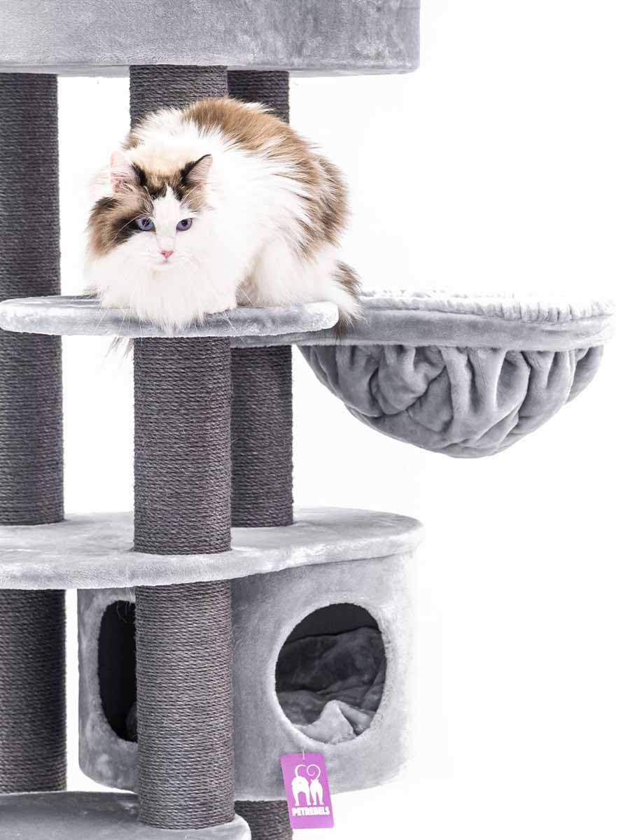 Petrebels Designerski drapak Isabella 170 cm, XXL drapak dla dużych kotów, Maine Coon, kolor szary