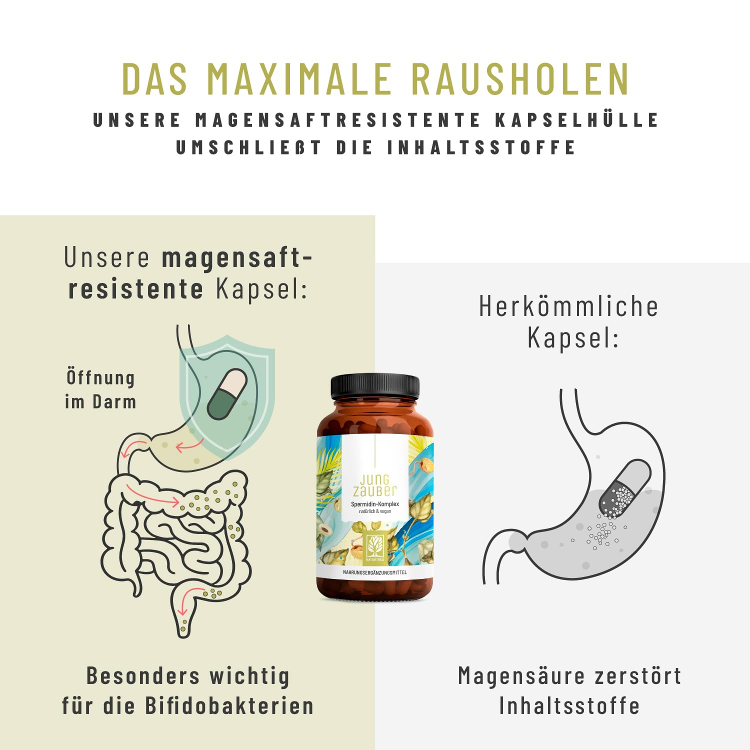 NATURTREU® Spermidin Kapseln hochdosiert mit hochwertigen Spermidin, L-Arginin, Bifidobakterien & Vitamin B6 - vegan - 120 magensaftresistente Kapseln - in Deutschland produziert & laborgeprüft