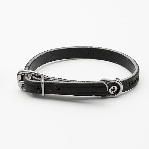 Leerburg 's Amish Soft Latigo - Collar para cachorros de piel de 12 pulgada de ancho