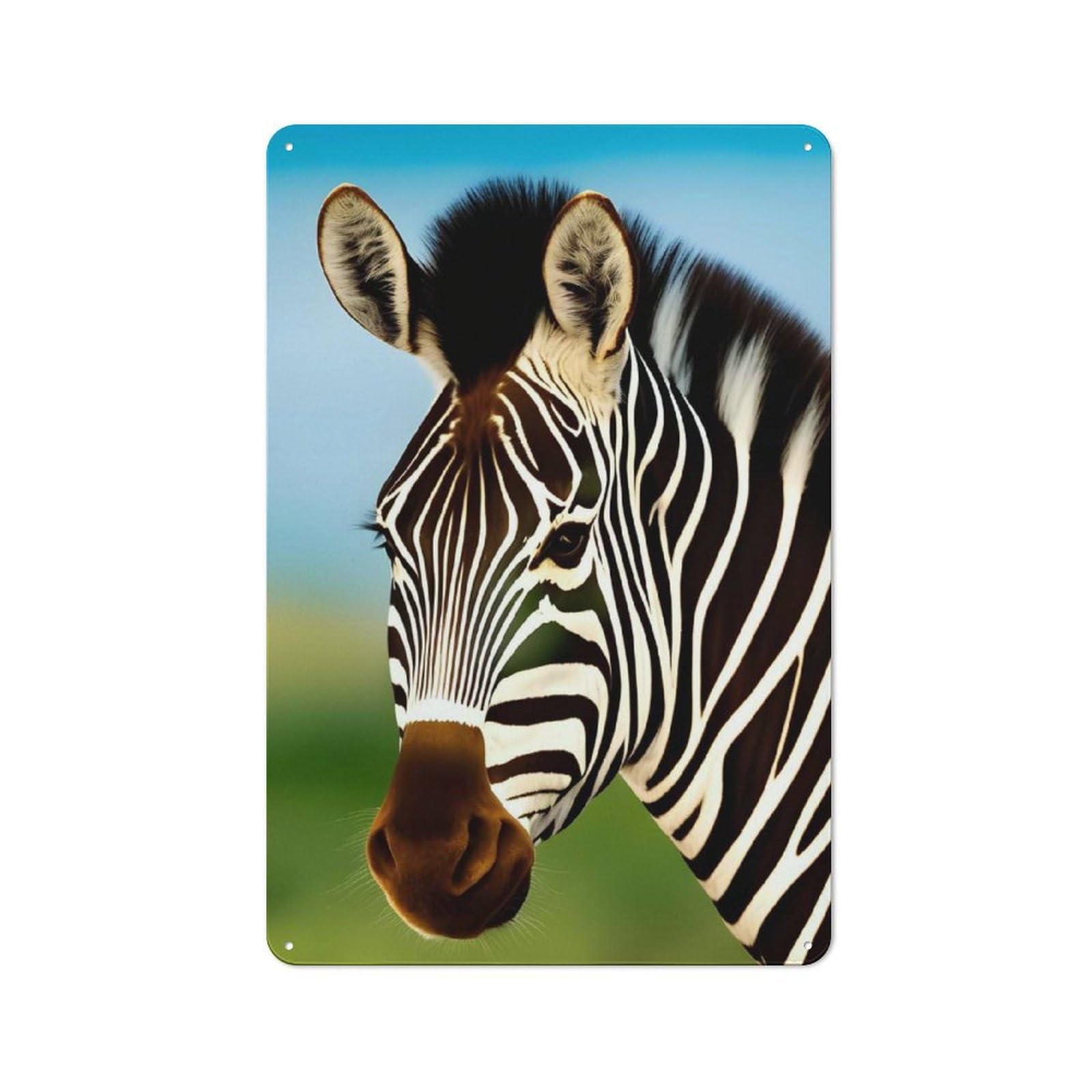 Junmoney Style-12 Vintage Metal Sign 30X20cm Featuring Close Up Zebra In A Field, Home Bar Decor For Cafe, Pub, Workshop Or Home Bar
