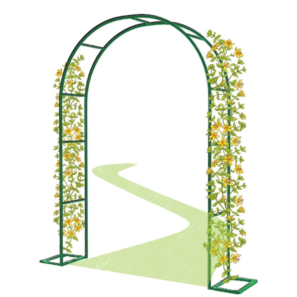Arche de jardin réglable pour tuteurer vos rosiers grimpants et éviter les branches cassées