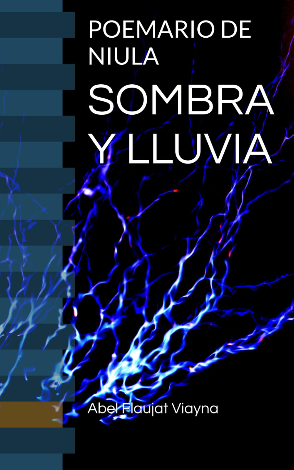 SOMBRA Y LLUVIA: POEMARIO DE NIULA