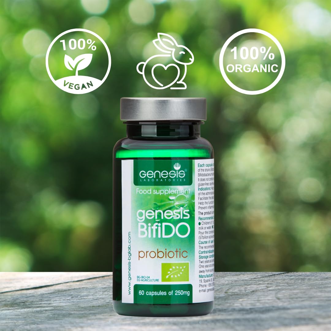BIO Vegan Bifidobakterien Probiotika – Darmbakterien Kapseln für Darmflora Aufbau & Darmsanierung – Laktosefrei, Glutenfrei, Ohne Soja, Vegetarisch – 240 mg Hochwertiger Kulturen Komplex 60 caps