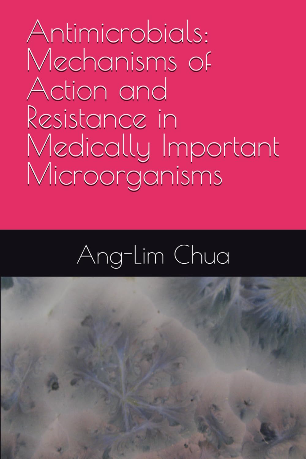 Antimicrobials: Mechanisms of Action and Resistance in Medically Important Microorganisms (Medical Microbiology for Undergraduates)