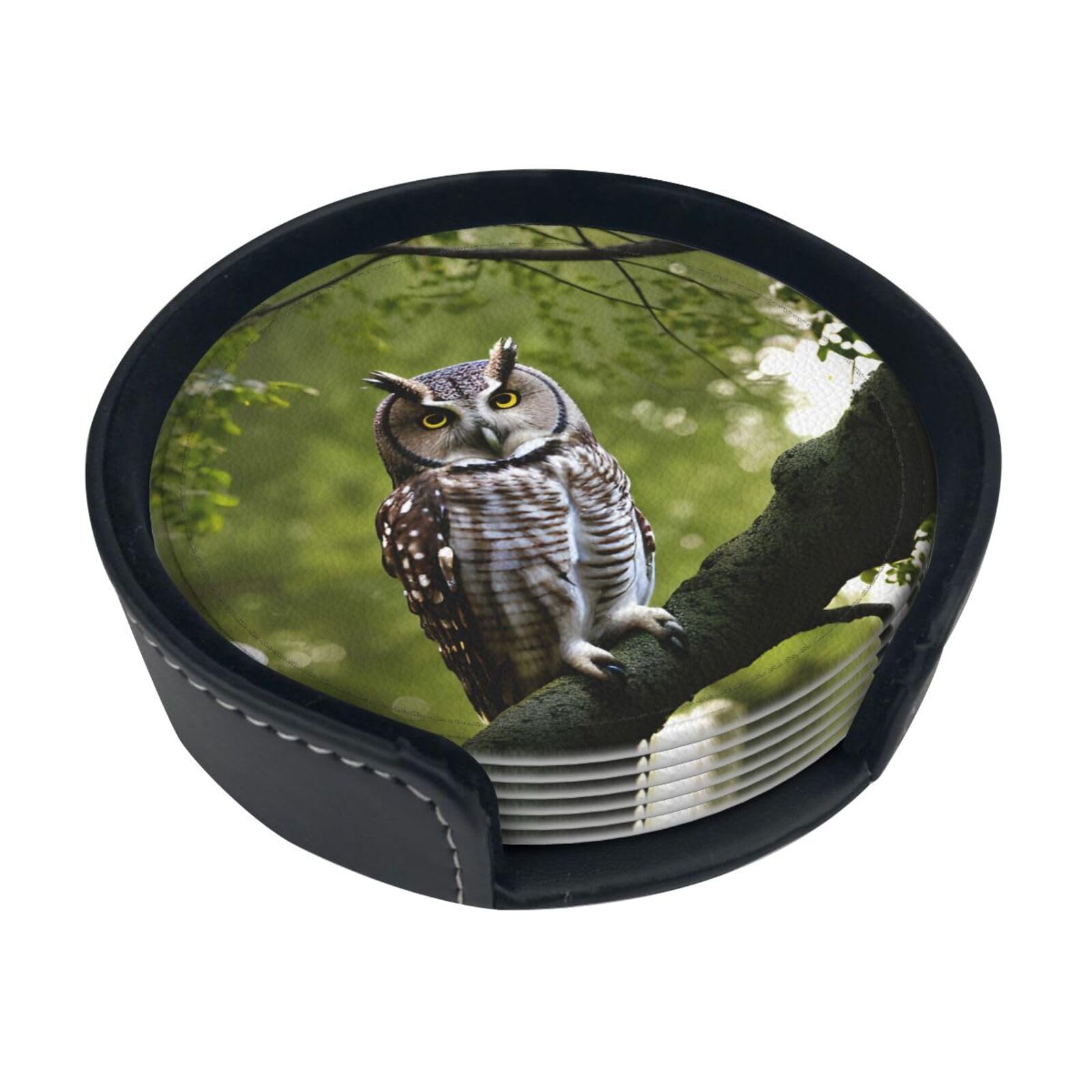 Dessous de verre chouette en PU x6 pour protection de table et verres