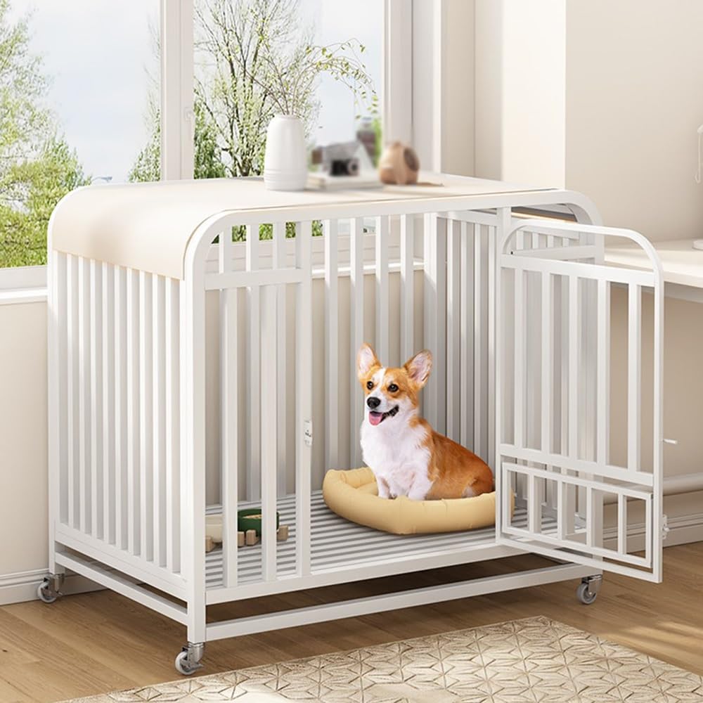 Gabbia per cani Gabbia for cani da interno ed esterno for Casa del cane