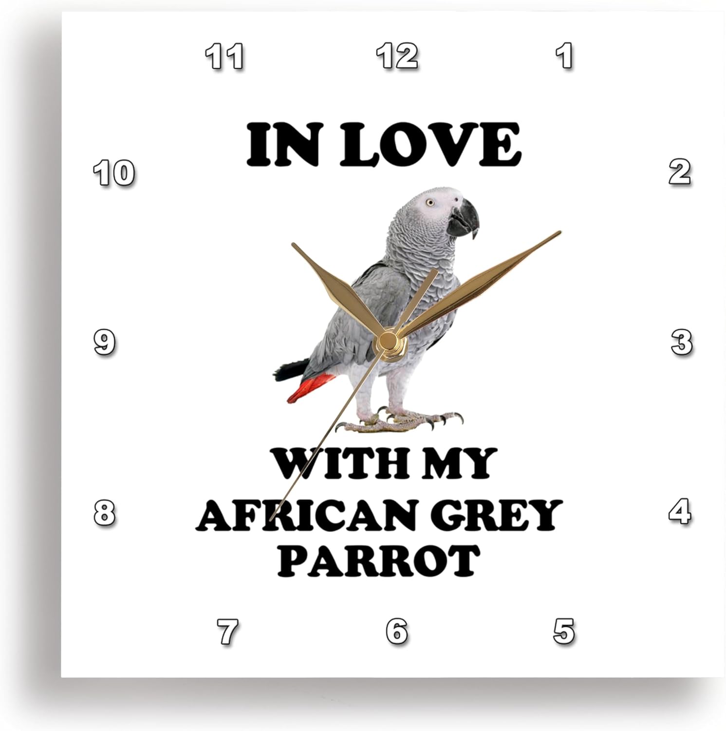 3dRose Wall Clock Silent - 15 inch - in Love with My African Grey Parrot Cute Card with Parrot - Animal