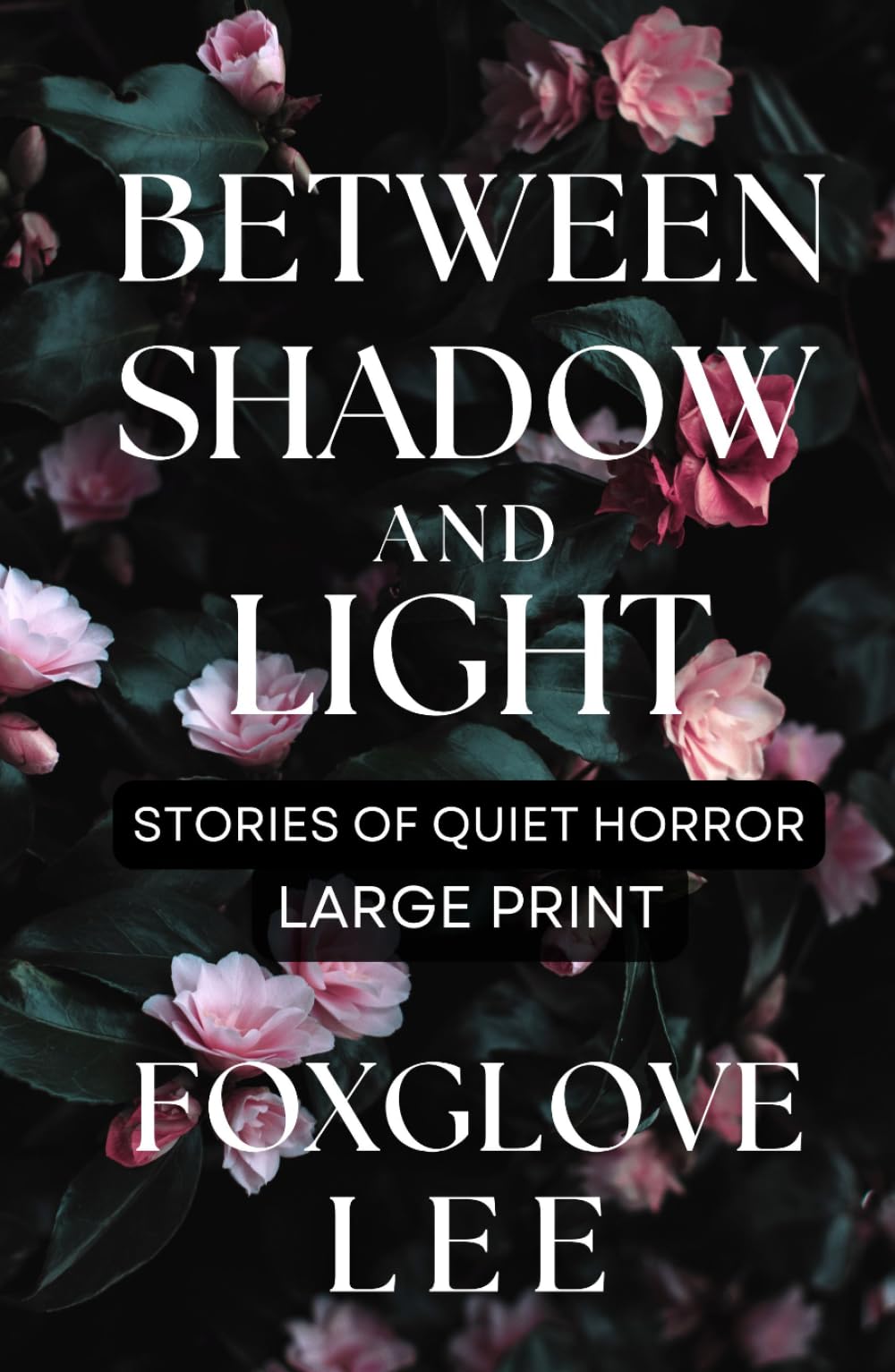 Between Shadow and Light: Stories of Quiet Horror