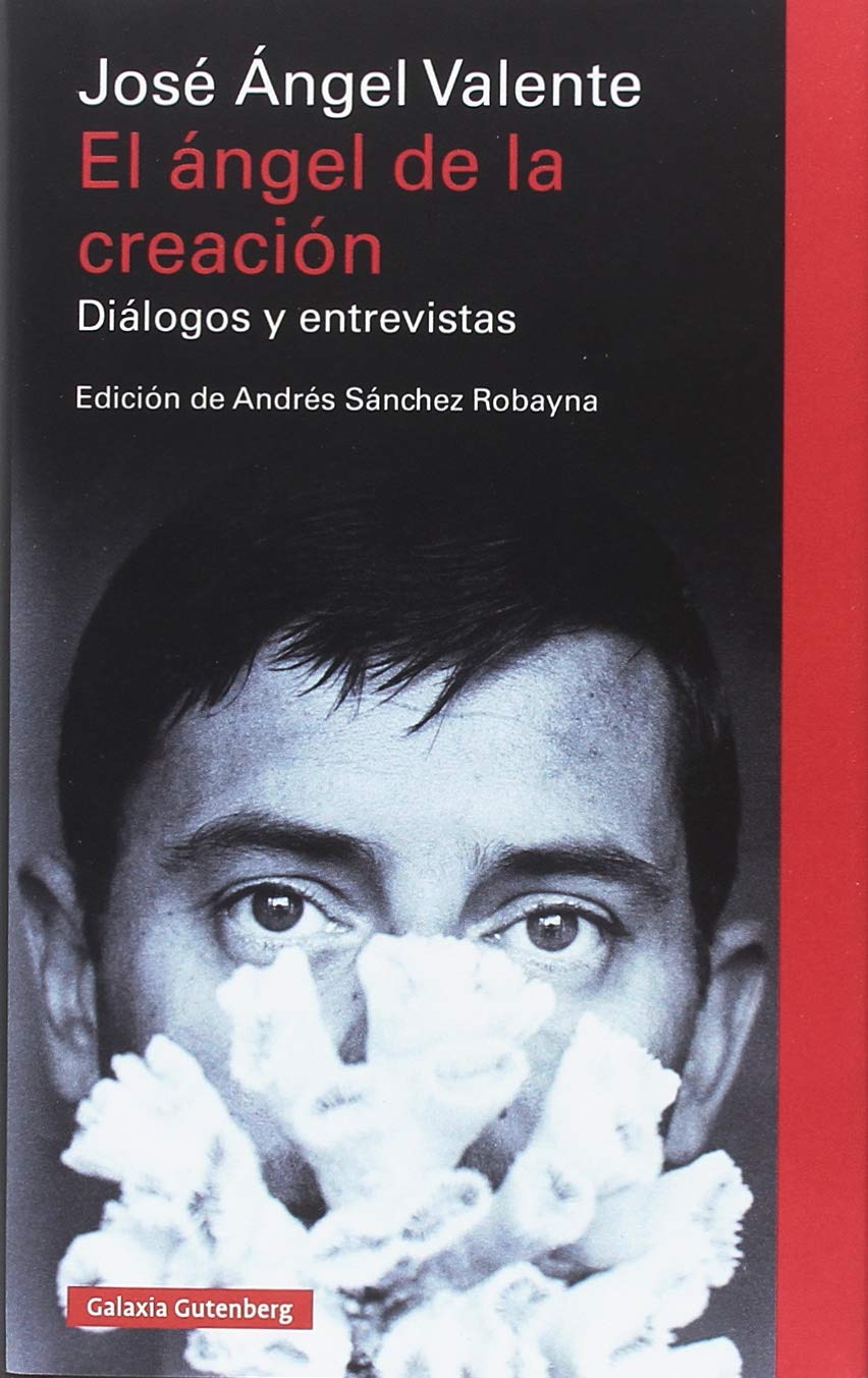 El ángel de la creación: Diálogos y entrevistas (Ensayo)