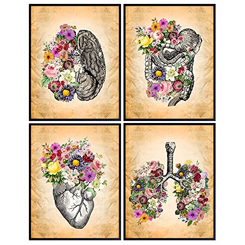 Vintage Human Anatomy - Boho Flower Wall Decor, Home Art Decoration or Gift for Women, Nurse Practitioner, Doctor, RN, Medical Office, Bedroom, Living Room - Shabby Chic Heart, Lungs, Brain Set