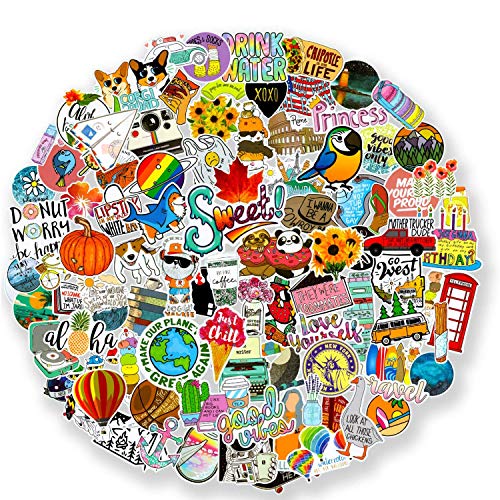 100 pcs Cool Random Stickers Vinyl Skateboard Stickers, Variety Pack for Laptop Hydro Flask Guitar Travel Case Water Bottle Car Luggage Bike Sticker Waterproof Graffiti Decals,Gift for Teens Adult