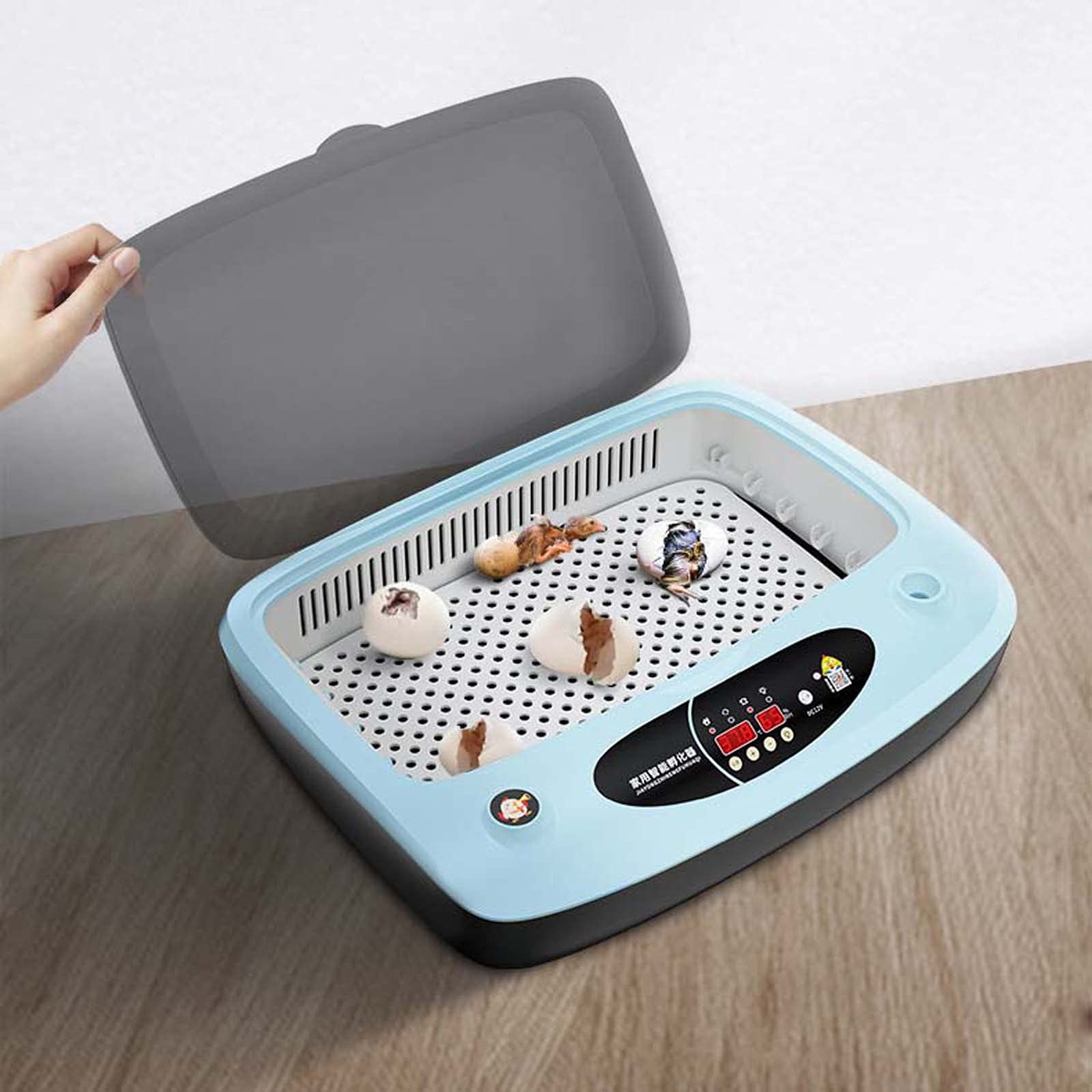 Incubadora de Huevos, máquina de incubación de Aves de Corral Completamente automática, criadora de máquina de incubación de Aves de Corral Digital Completamente automática, (Blue 36 Pieces)