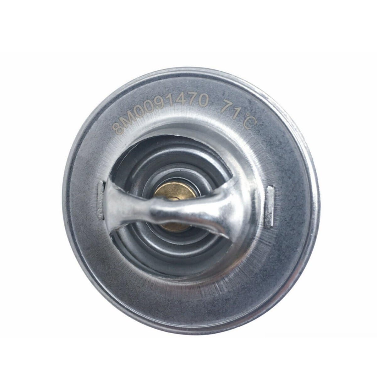 Motorenteile Thermostat 160º 8M0091470 for MerCruiser 4.3L 5.0L 5.7L V6 V8 RO: 807252T2 8M0109441 8072522 8052732