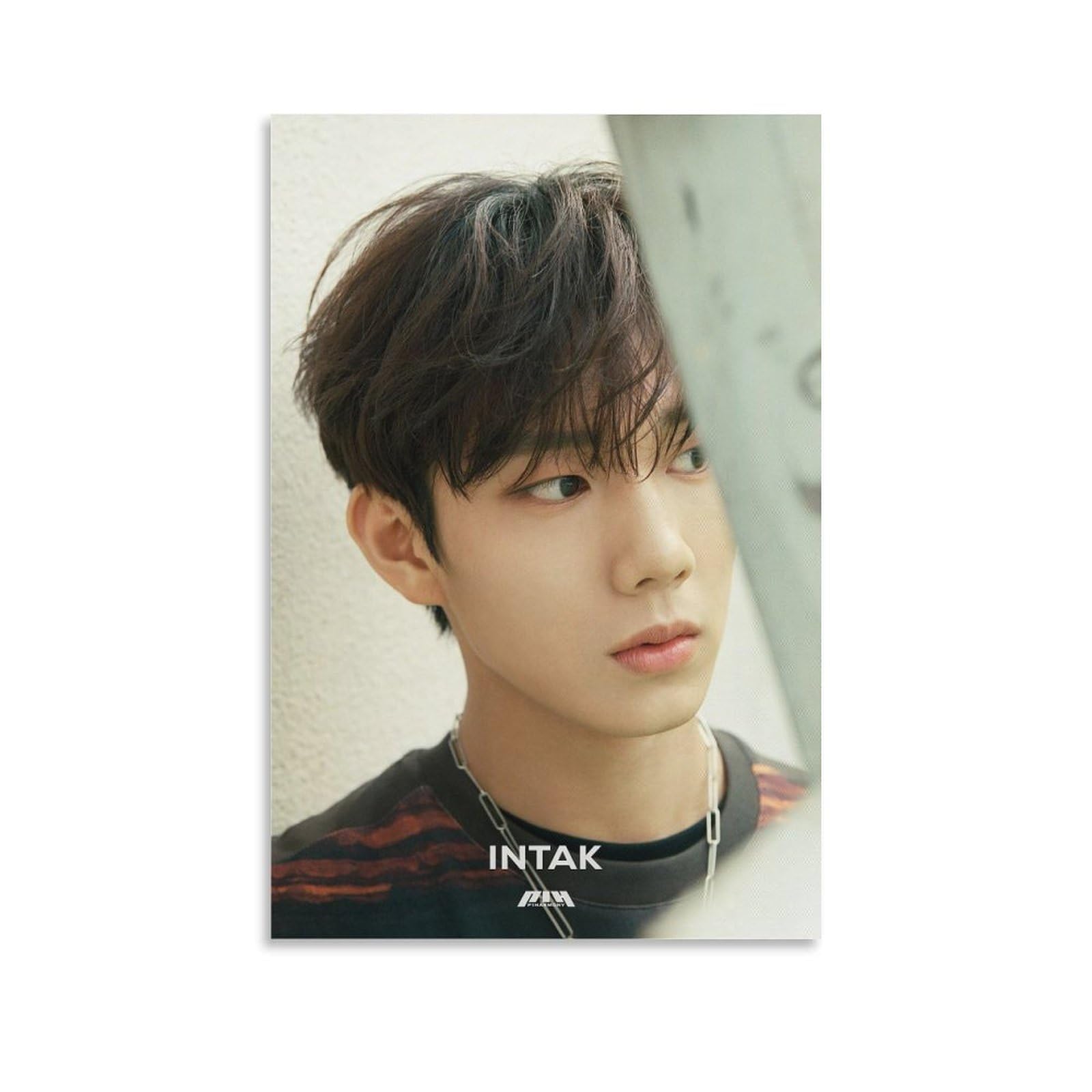KPOP Intak P1harmony Debut Profile Cool KPOP ARTIST Print on Canvas Painting Wall Art for Living Room Home Decor Boy Gift 16x24inch(40x60cm)