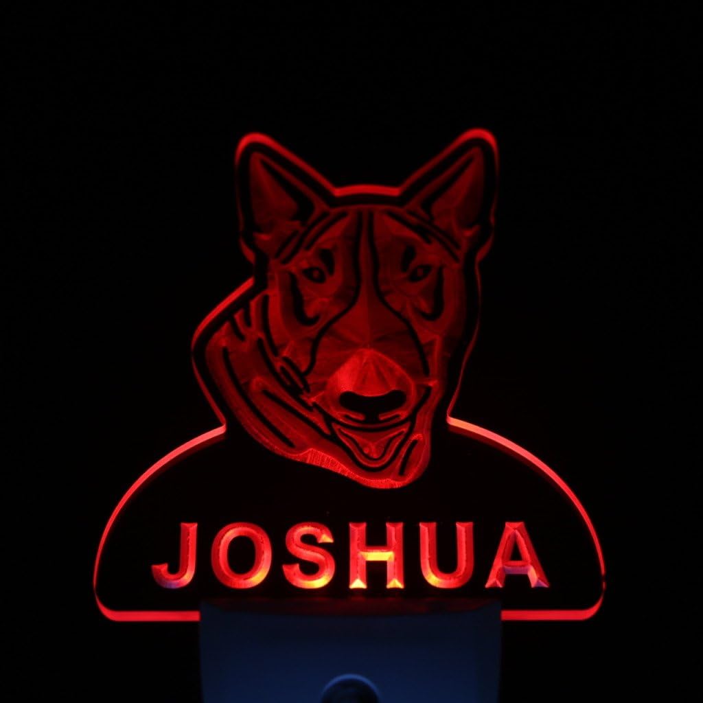 ADVPRO ws1060-tm Bull Terrier Personalized Night Light Name Day/Night Sensor LED Sign