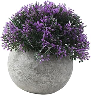 OFFSCH Decorações De Plantas Mini Vasos Para Plantas Vaso De Plantas Decoração De Mesa Vaso De Plantador De Bonsai Plantas Falsas Em Vaso Cultura De Vaso De Simulação Flor Falsa
