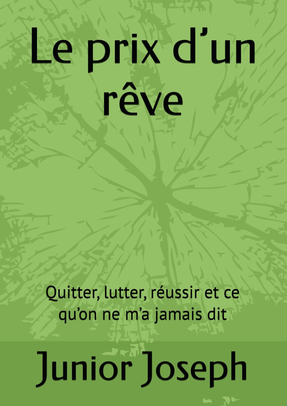 Le prix d’un rêve: Quitter, lutter, réussir et ce qu’on ne m’a jamais dit