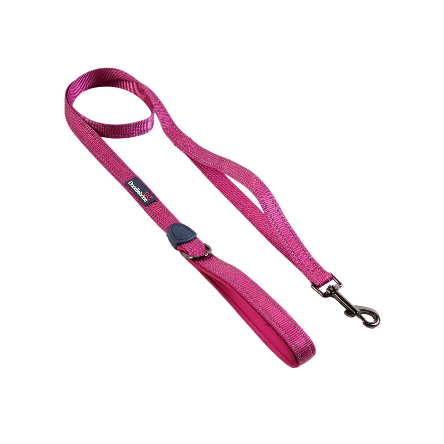 Doodlebone - With Me Dog Lead- padded handle, control handle for extra control, reflective, machine washable dog lead, strength tested componentry (Thistle, 25mm)