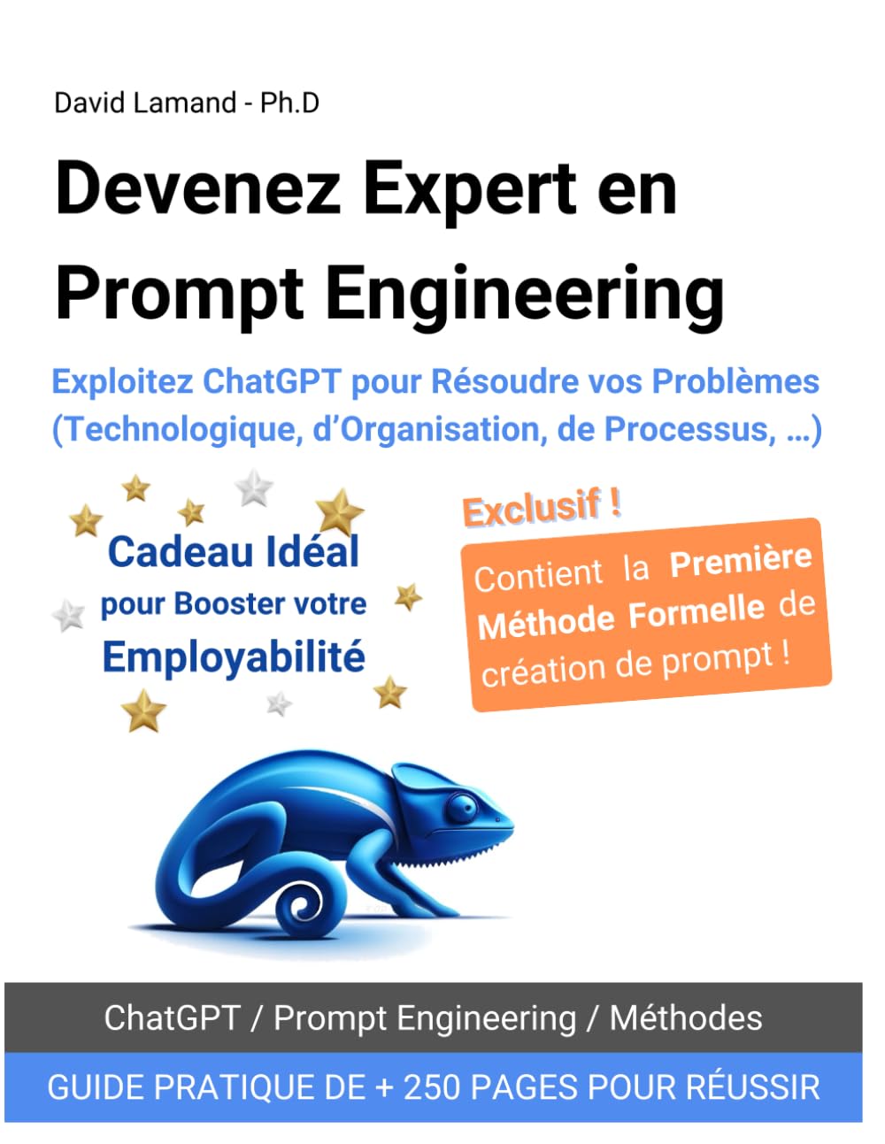Devenez Expert en Prompt Engineering: Exploitez ChatGPT pour Résoudre vos Problèmes (Technologique, d’Organisation, de Processus, …)