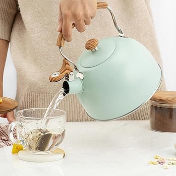 Tiny Store 2.5 Liters Whistling Teapot Anti-Heat Boiling for Cuisinart Farmhouse Dining (70032309TS)