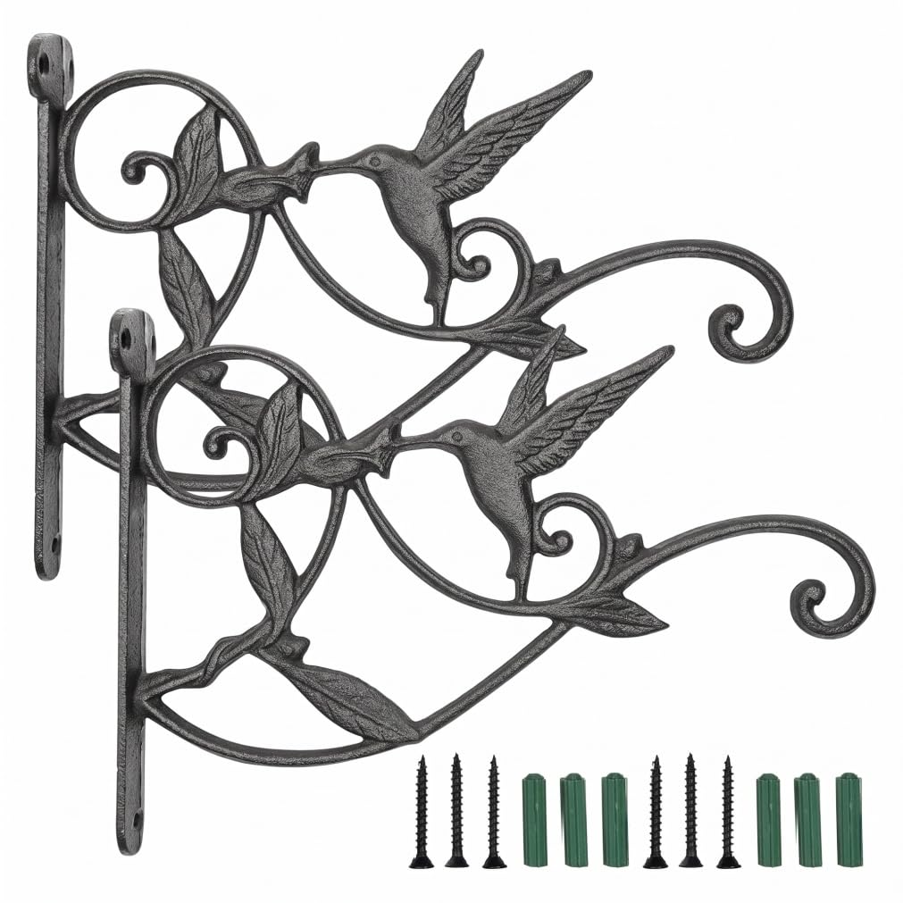 Plant Hangers, 2 Pack Cast Iron Wall Hooks, Rustic Black, Standard