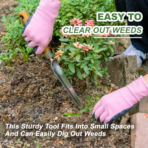 Haliaeetus Seeding Widger, Stainless Steel Garden Planting Trowel for Repotting, Long and Narrow Widger for Weeding from Tight Areas, Hand Transplanter with Wood Handle for Planting, Weeding, Digging - Thumbnail 4