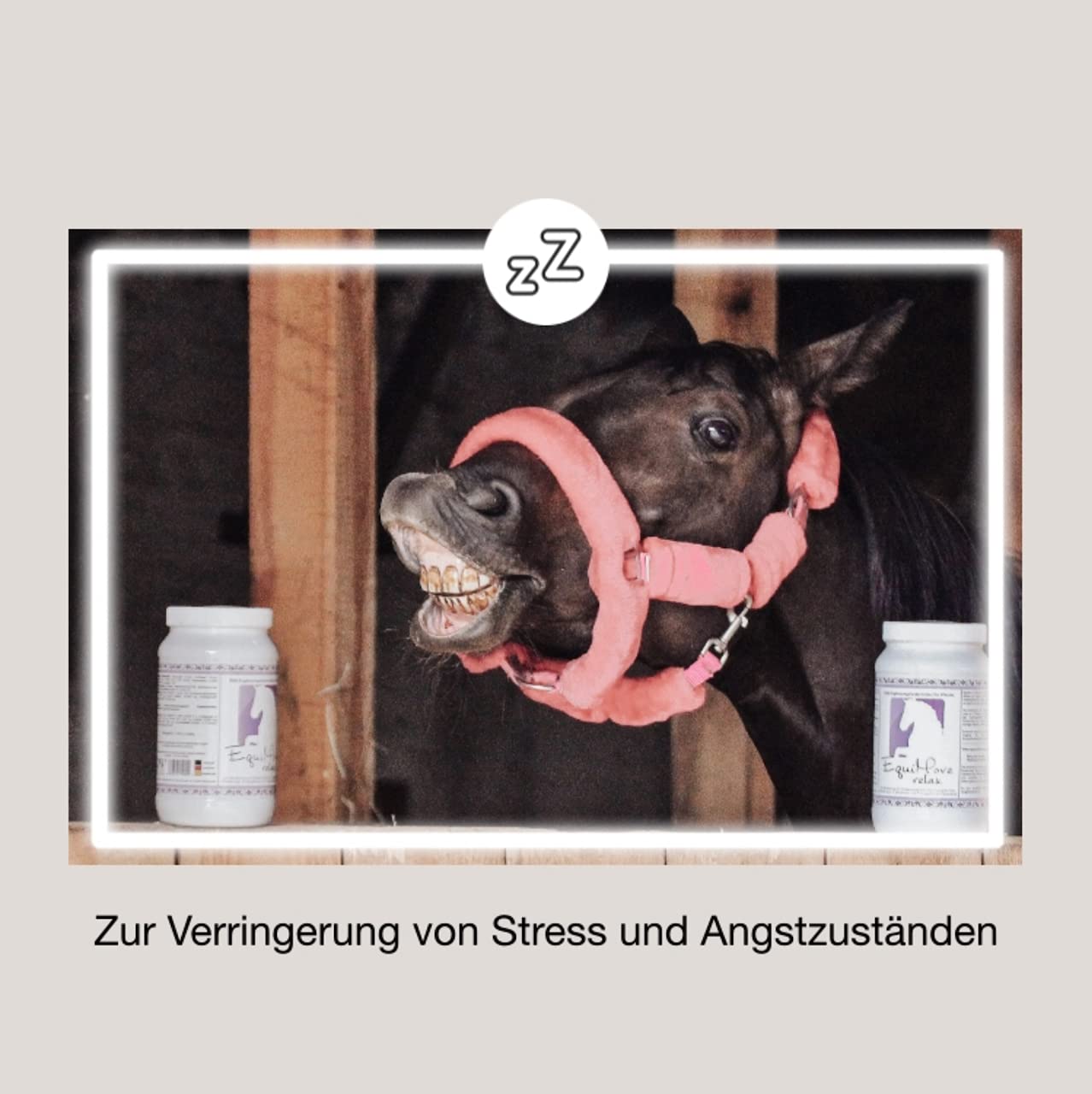 Relax (1,5 kg) Pellets zur Minderung von Stress und Angst | mit exklusivem Neuro-Teyanin (L-Theanin), Inositol, Baldrian, Magnesium sowie Tryptophan mit B6