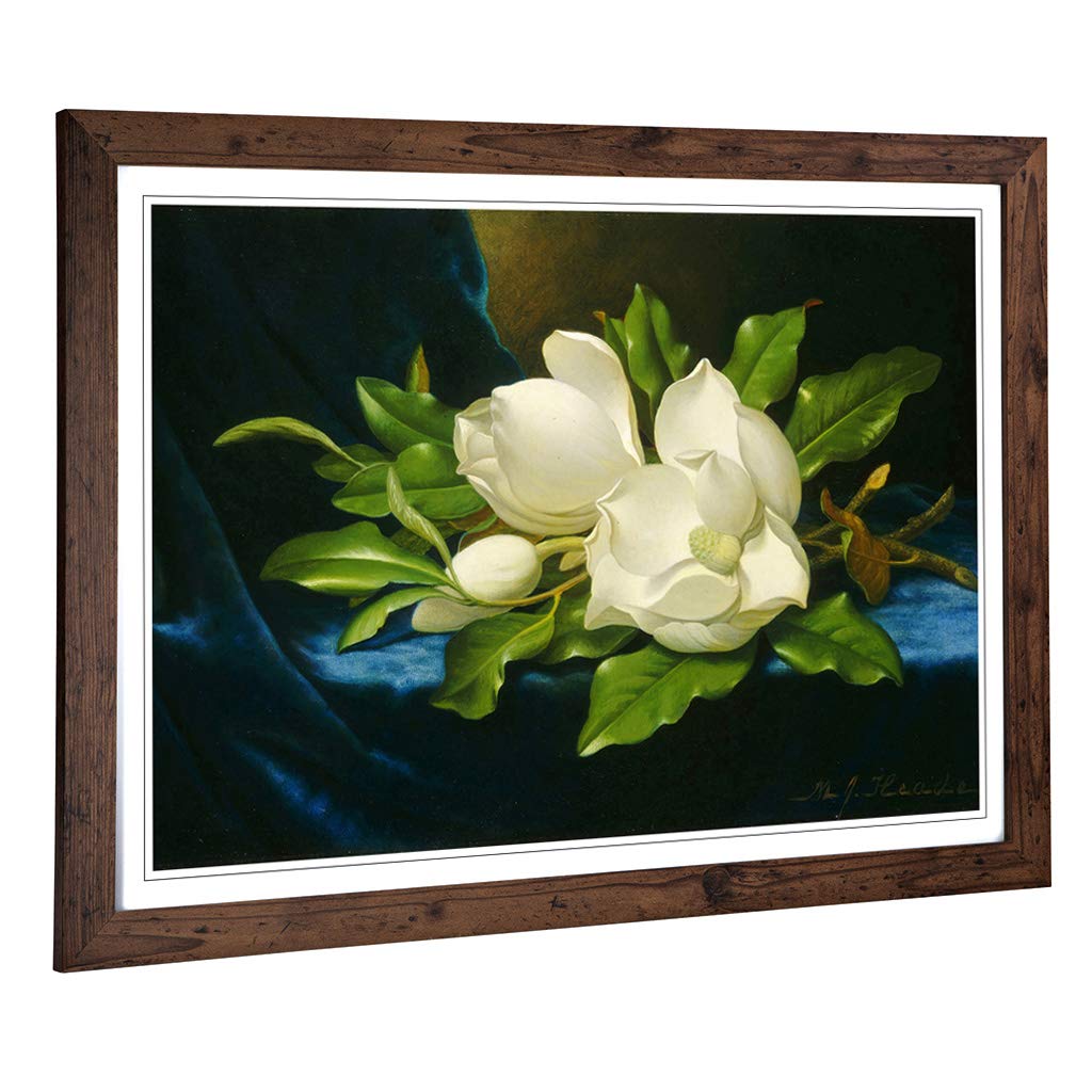 Big Box Art Framed Print of Martin Johnson Heade Giant Magnolias Design | Wall Art Picture | Home Decor for Kitchen, Living Room, Bedroom, Hallway, Walnut, A2 / 24.5x18 Inch / 62x45cm