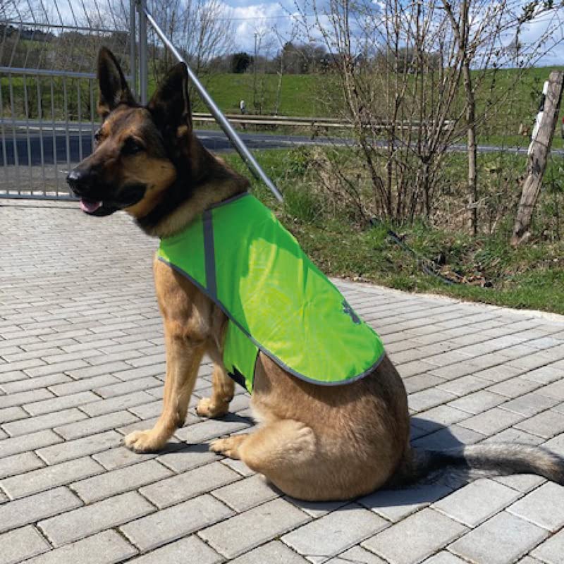 Bestlivings Reflektierende Hundewarnweste - Robust, Größenverstellbar, Reflektorweste mit Futterstoff, Sicherheitsweste für Hunde, Jacke Mantel in Grün, Größe L, Polyester