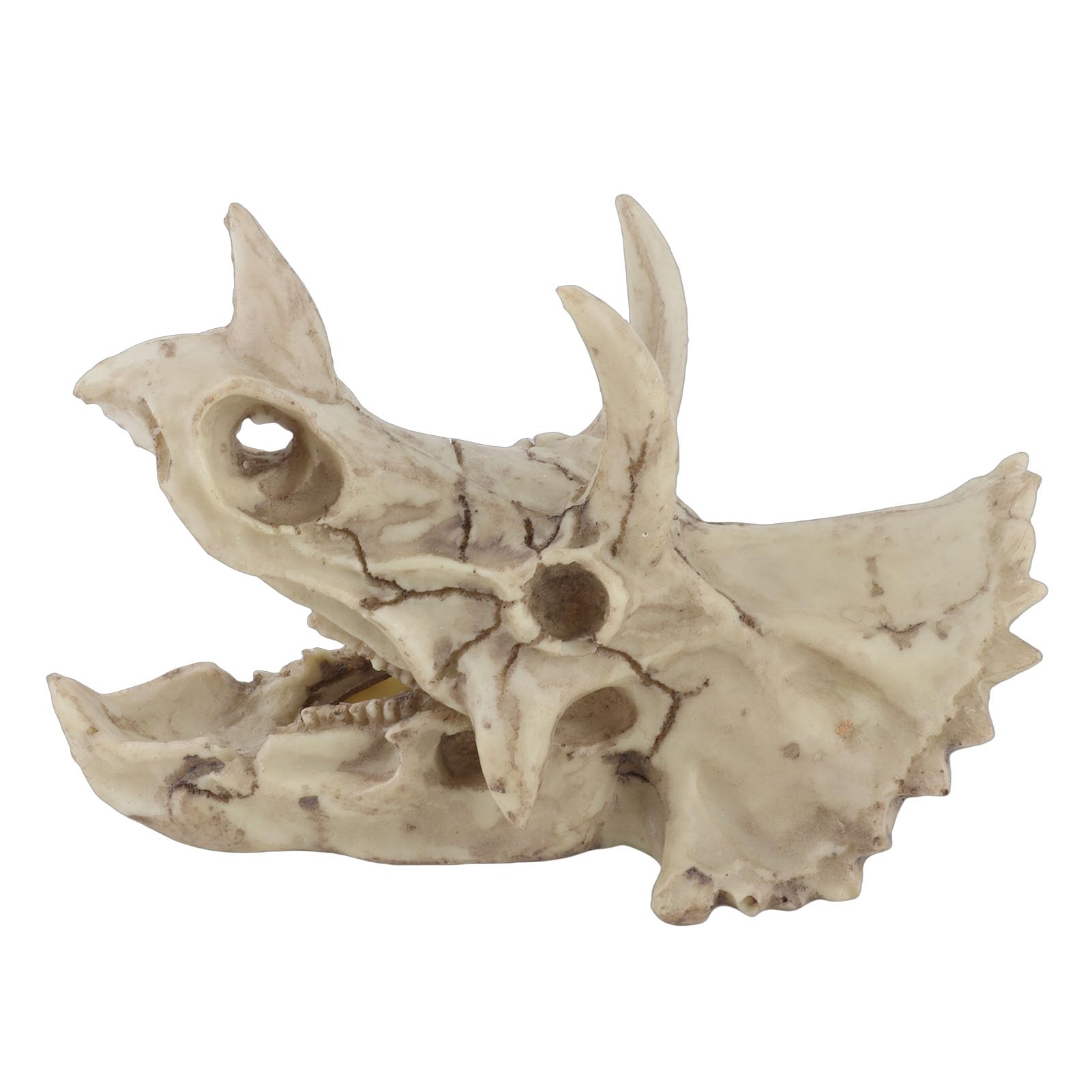 Fdit - Figura Decorativa de Resina de Dinosaurio, diseño de Calavera de imitación con Esqueleto simulado