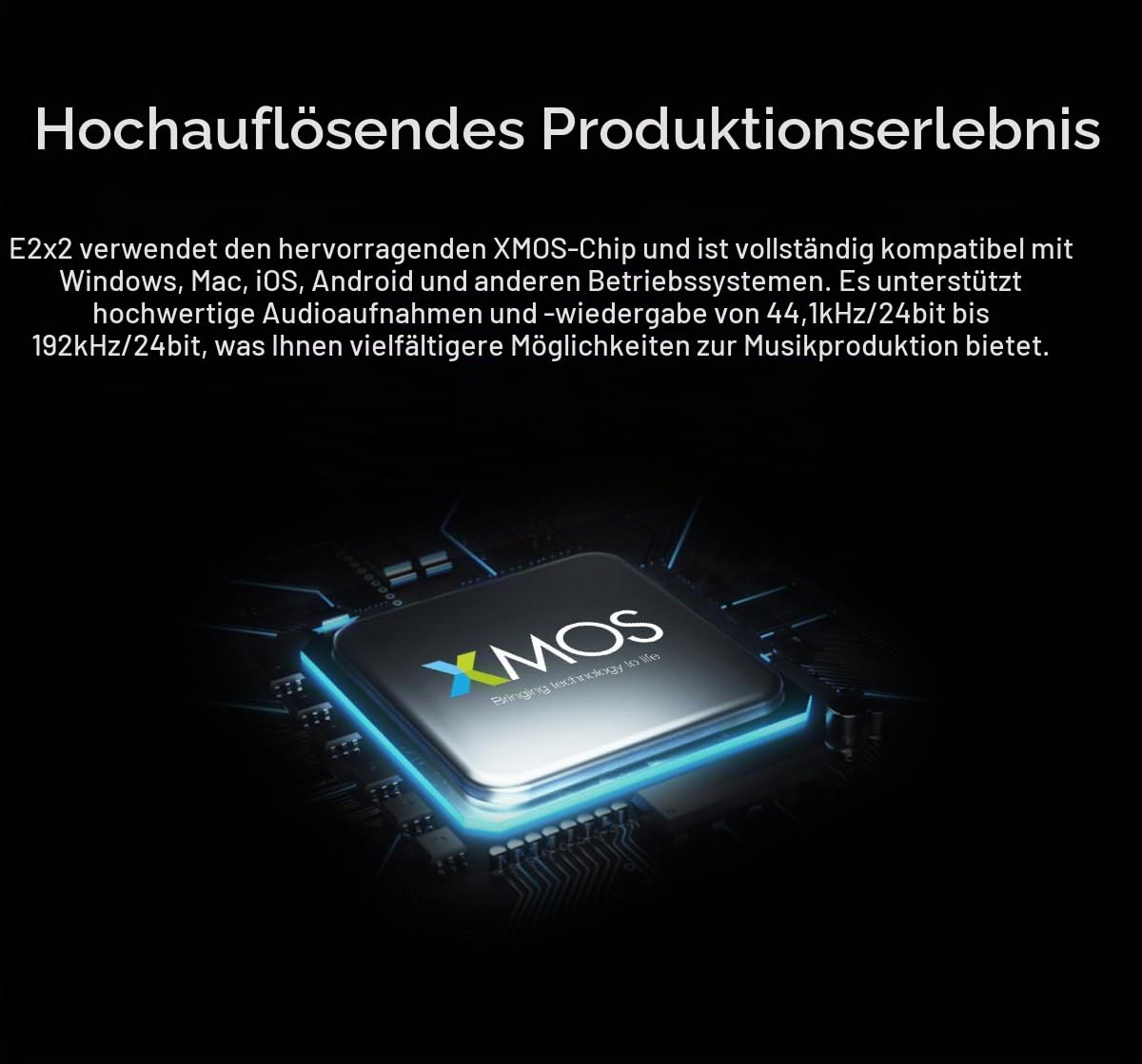 Topping Professional E2x2, USB-Audio-Interface und ultralineares Mikrofonvorverstärkermodul, Schwarz
