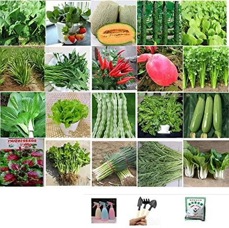 Set of 20 Pack Vegetable & Fruits Seeds with Watering Can, Planting Kits, Fertilizer 20 Varieties Create a Deluxe Garden All Seeds are Heirloom, 100% Non-GMO, 20 Pack