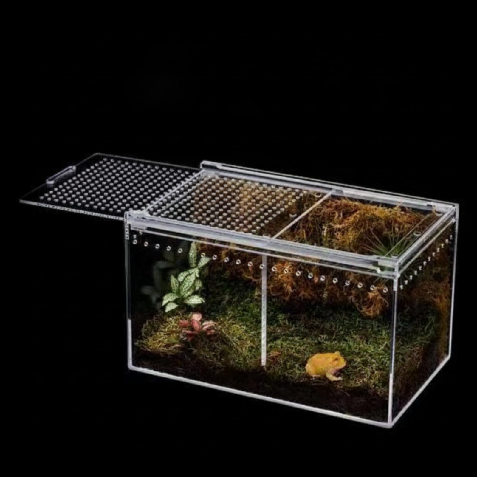 Terrario in Acrilico per Rettili Piccoli Animali Trasparente con Aerazione Continua Coperchio Comodo Adatto a Allevamento Domestico Scrivania Scaffale Tavolino, 30 20 15