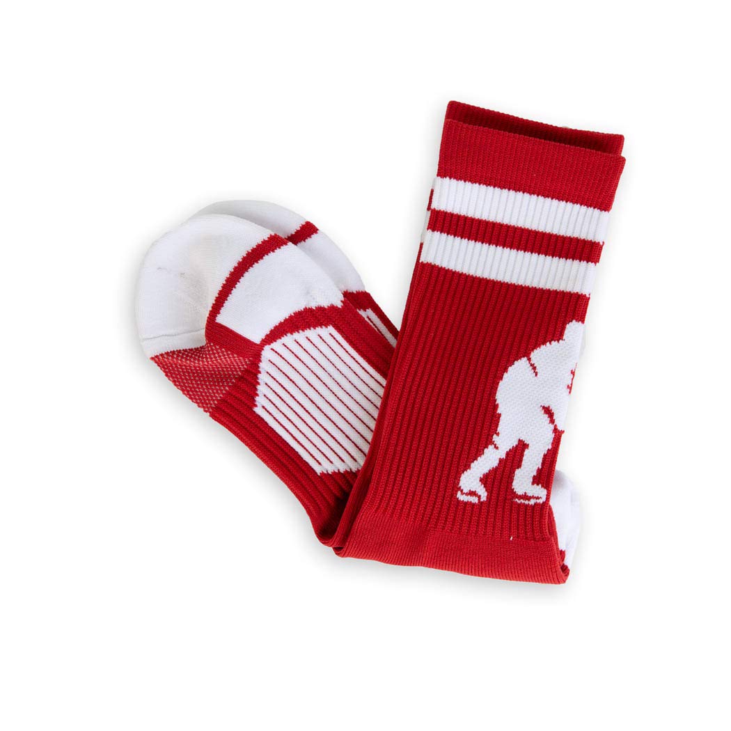 ChalkTalkSPORTS Hockey Performance Crew-Socken – Jugendliche und Erwachsene – mehrere Farben – wadenlang