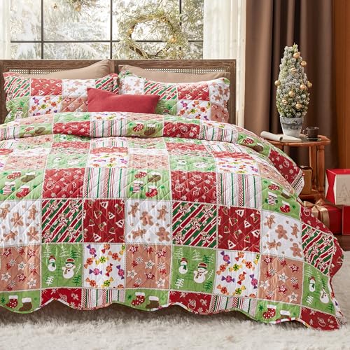 Bedsure Christmas Quilt Set Queen - Red Quilts for Queen Size Bed, Multicolor Patchwork Printed Pattern Christmas Bedding Set - Soft Microfiber Lightweight Coverlet Bedspread (90"x96", 3 Pieces)