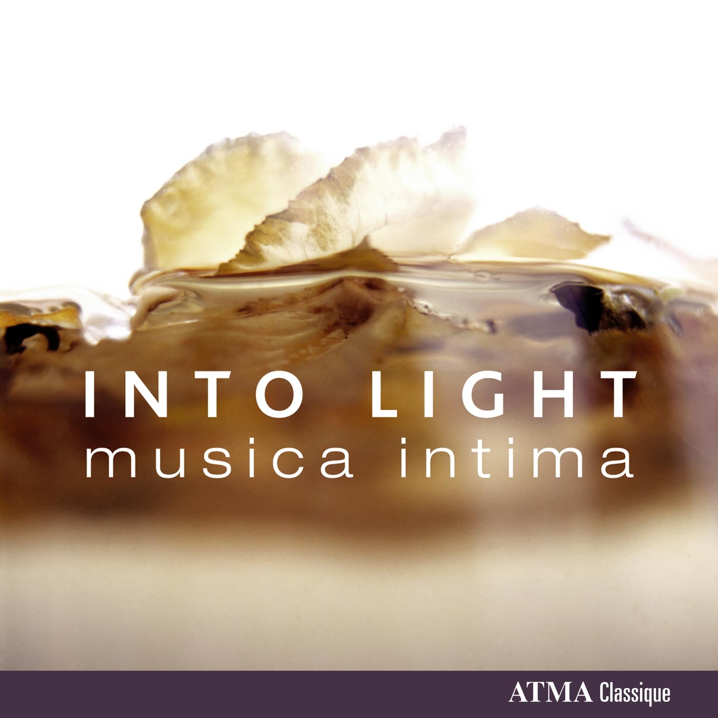 Musica intima