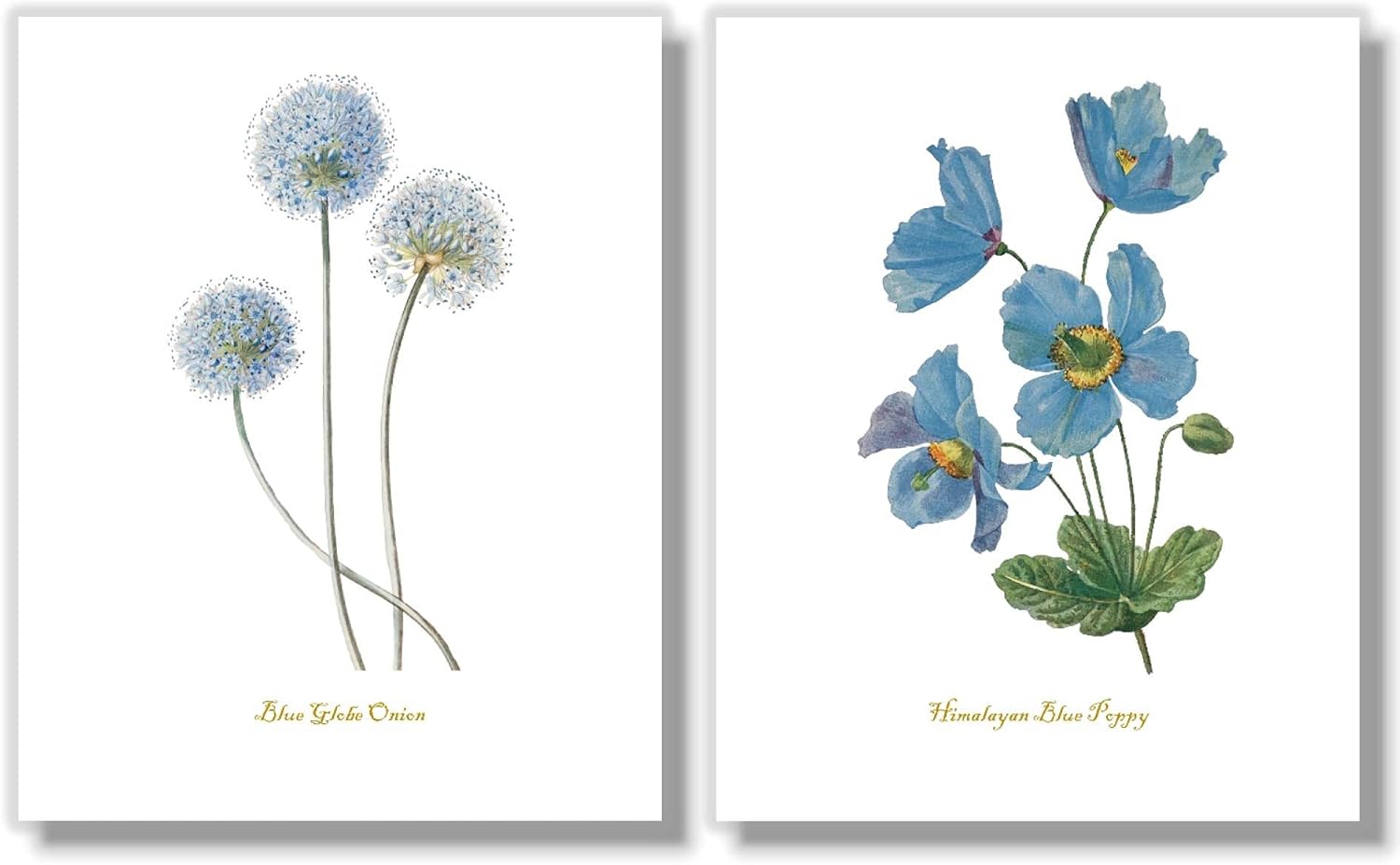 Blue Flower Wall Art Set of 6 – Vintage Botanical Prints – Floral Home Decor for Bedroom, Bathroom, or Living Room – Unframed Botanical Artwork on Embossed Linen Fine Art Paper – Classic Blue Floral Wall Decor - 8x10 - Unframed