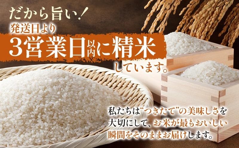 Amazon.co.jp: 【精米】静岡県産にこまる5kg 令和7年産 川島米穀店