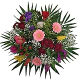 Flora Trans