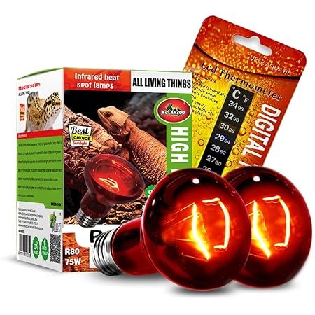 lizard heat lamp bulb