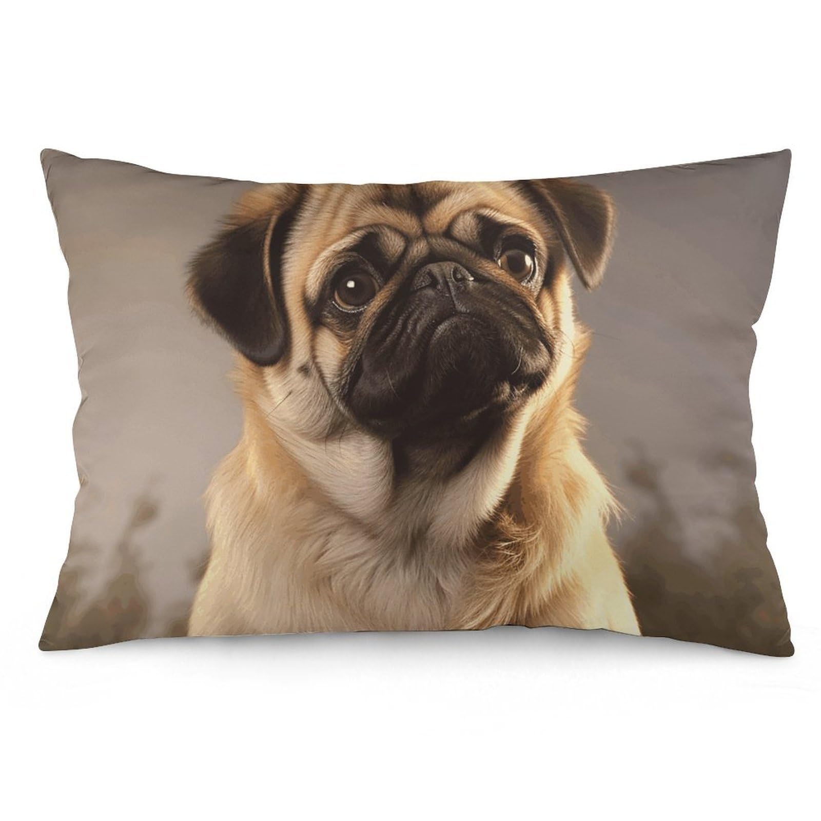 2 Pack Pillow Cases for Hair and Skin, Soft Breathable Pillow Case Covers with Hidden Zipper, Cute Pug Dog Pillowcase 16 "x24 Pillow Covers for Sleeping Gift