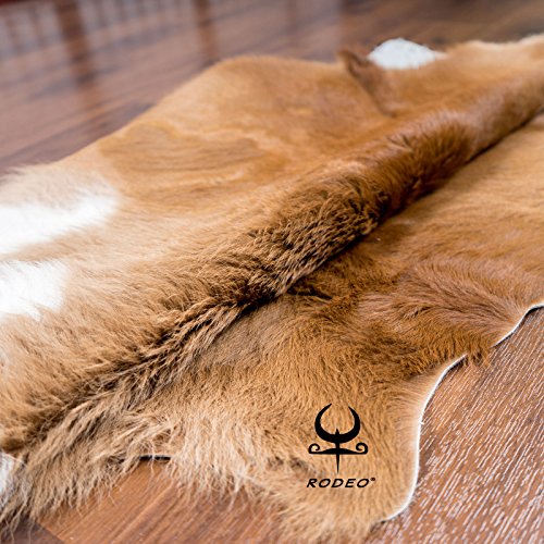 Brown Rodeo Calf Skin Cowhide Small Size #TOP5