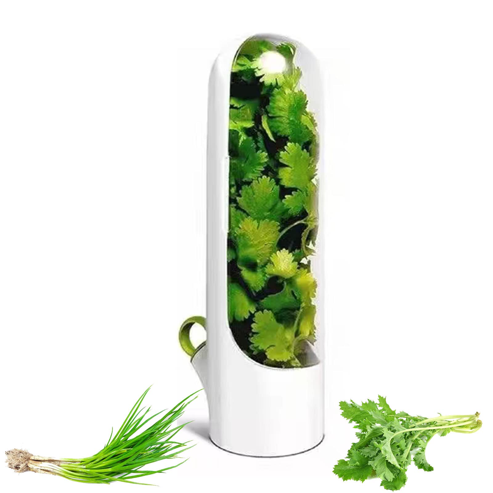 Conservador De Hierbas Frescas Para Nevera - Recipiente Con Agua Para Cilantro, Perejil, Menta, Espárragos... Prolonga Su Frescura (25 Cm Altura)