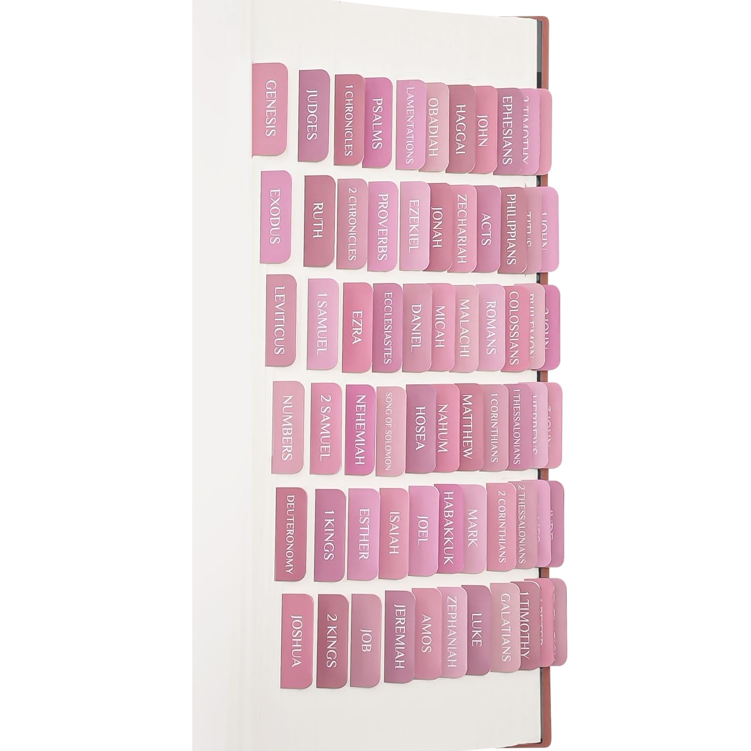 Uzriyl Bible Tabs, Laminated Bible Book Tabs for Women and Men, Rosey Pink