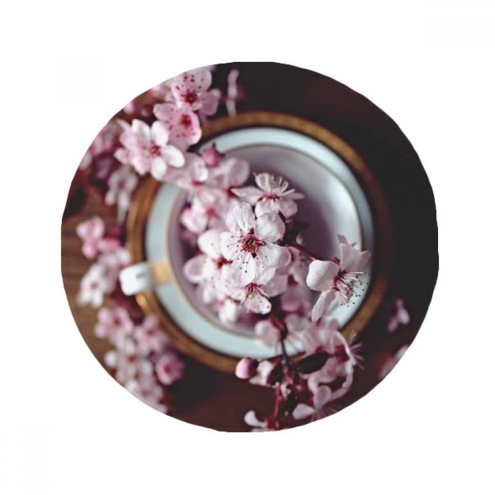 Tapis de salon rose fleur de prunier rond, une idée cadeau déco pour la maison